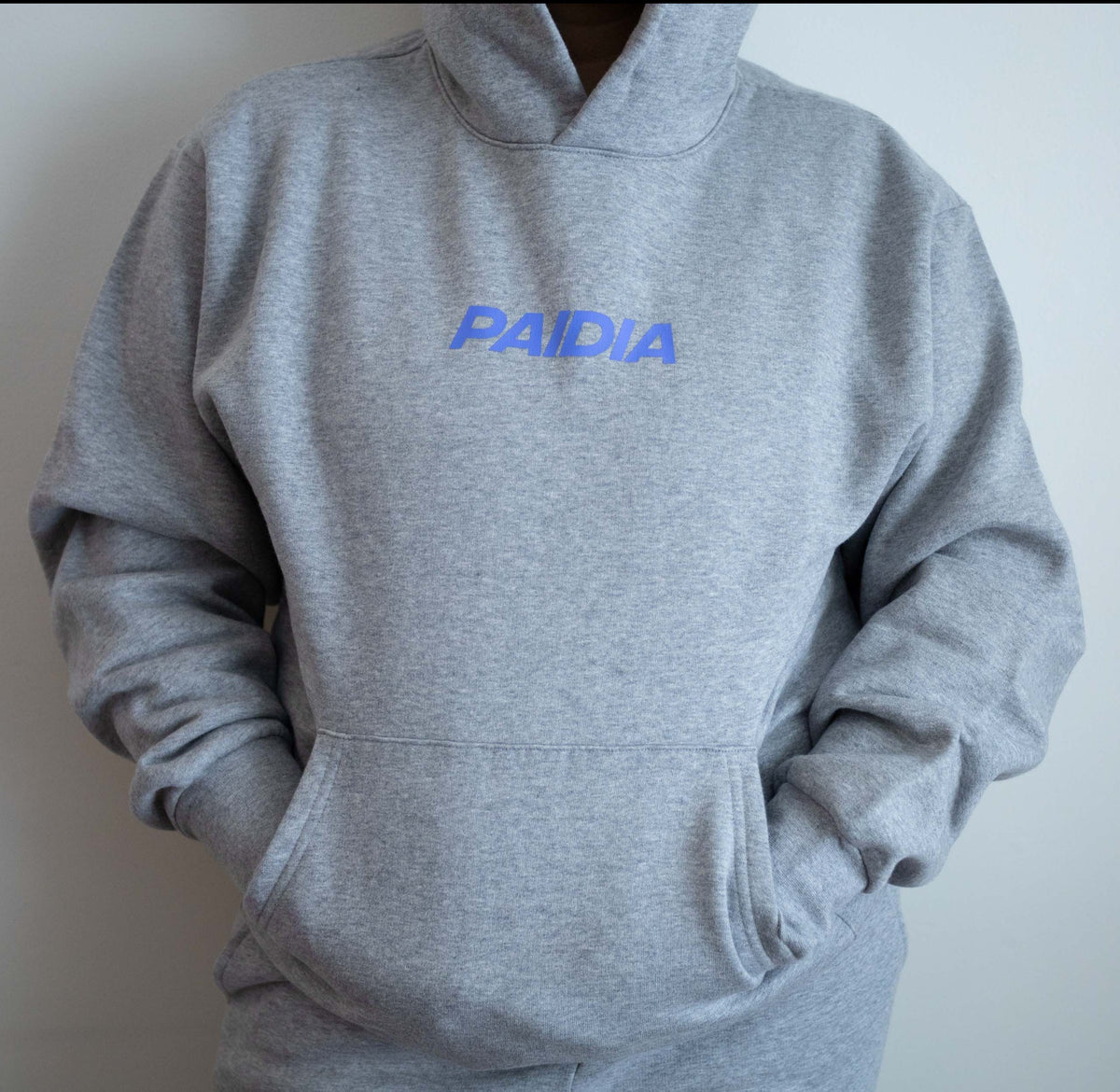 Grey discount palace hoodie